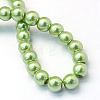 Baking Painted Pearlized Glass Pearl Round Bead Strands HY-Q330-8mm-26-4