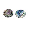 Natural Paua Shell Beads SSHEL-N040-20A-2