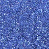 MIYUKI Delica Beads SEED-X0054-DB0077-3