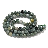 Natural Myanmar Jadeite Beads Strands G-B099-C06-02-3