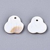 Natural Freshwater Shell Charms SHEL-S276-115-2