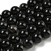 Natural Black Agate Beads Strands G-G391-10mm-01-2