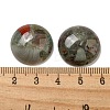 Natural Africa Bloodstone Cabochons G-C115-02A-39-3