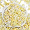 Glass Seed Beads SEED-K010-03A-3