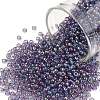 TOHO Round Seed Beads SEED-TR11-0166D-1