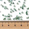 Glass Seed Beads SEED-S042-13A-18-4