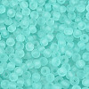 FGB Frosted Transparent Glass Seed Beads SEED-N013-02A-10-3
