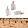 Natural Lepidolite Pendants GG-CBACE45-02G-09-3