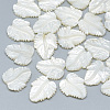 Natural White Shell Mother of Pearl Shell Cabochons SSHEL-S260-103D-1