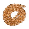 Transparent Glass Beads Strands EGLA-N013-T6mm-D21-2