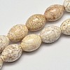 Oval Natural Magnesite Beads Strands G-M138-08-1