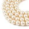 Preciosa® MAXIMA Crystal Nacre Pearls X-PRC-NPA10-77500-4