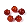 Natural Carnelian European Beads G-Q602-09A-04-1