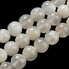 Natural White Moonstone Beads Strands G-F306-05AB-6mm-01-4