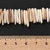Natural Shell Beads Strands SHEL-D002-01A-4