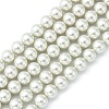 Eco-Friendly Dyed Glass Pearl Round Beads Strands X-HY-A002-10mm-RB009-1