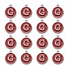 Platinum Plated Alloy Enamel Charms ENAM-S118-03G-P-2