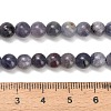 Natural Iolite Beads Strands X-G-G300-A04-6mm-5