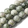 Natural Peace Jade Beads Strands G-E598-04A-2