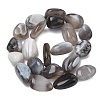Natural Botswana Agate Beads Strands G-L650-D03-04-3