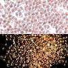 Luminous Glass Seed Beads X1-SEED-A033-07C-2