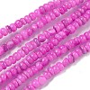 Dyed Natural Freshwater Shell Beads Strands X1-BSHE-G039-07L-1