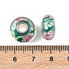 Lampwork & Brass Core European Beads LAMP-P019-01P-33-3
