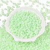 Glass Seed Beads SEED-T008-01D-2