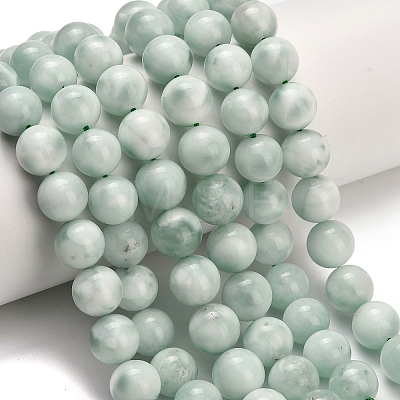 Glass Beads Strands G-L642-B18-10mm-1
