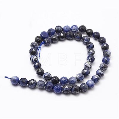 Natural Sodalite Beads Strands G-D840-19-8mm-1