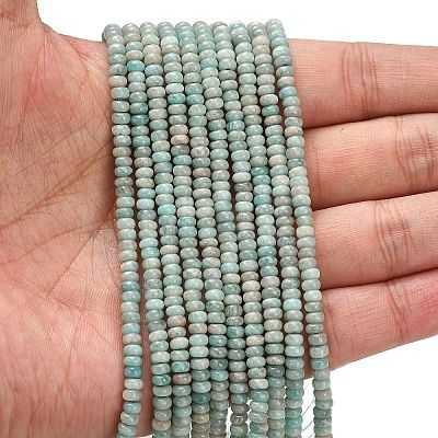 Natural Amazonite Beads Strands X-G-L635-A35-4x2mm-1