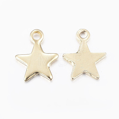 304 Stainless Steel Charms STAS-G179-80G-1