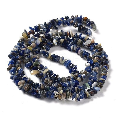Natural Sodalite Beads Strands G-E607-A11-1