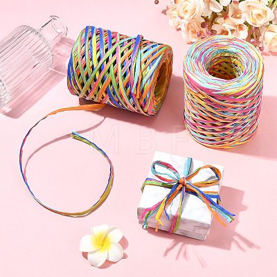 2 Rolls 2 Colors 80M Raffia Ribbon OCOR-CJ0004-10-1