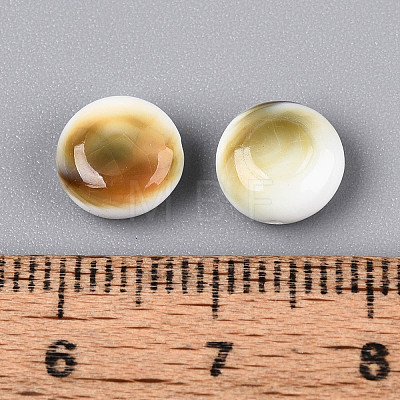 Natural Shiva Eye Shell Beads BSHE-T014-33A-1