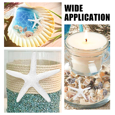 ARRICRAFT Natural Shell & Starfish Resin Cabochons Decorations SHEL-AR0001-13-1