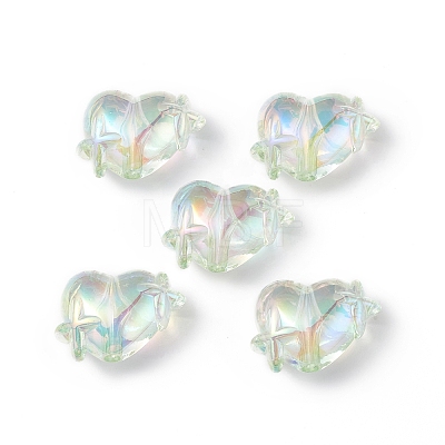 Transparent Acrylic Beads OACR-B005-01H-1