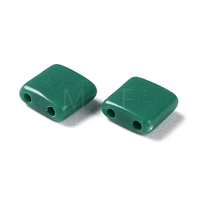 Opaque Acrylic Slide Charms OACR-Z010-01P-1