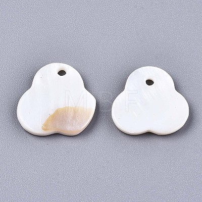 Natural Freshwater Shell Charms SHEL-S276-115-1