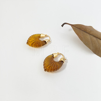 Resin & Brass Hoop Earrings WGAB1C5-02-1