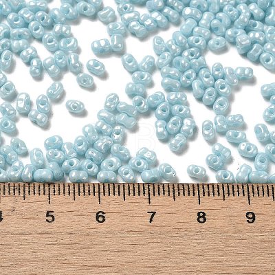 Glass Seed Beads SEED-K009-02A-02-1