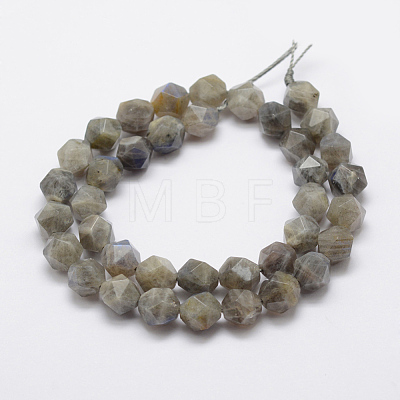 Natural Labradorite Beads Strands G-K209-02E-8mm-1