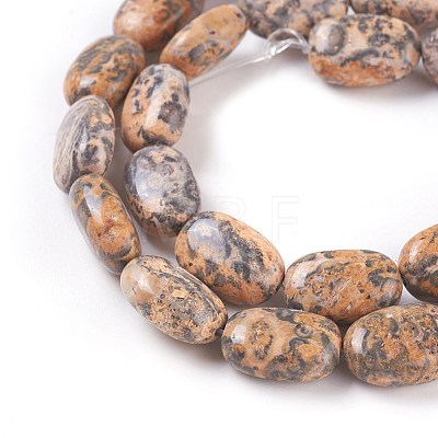 Natural Leopard skin Jasper Beads Strands G-I231-10-1