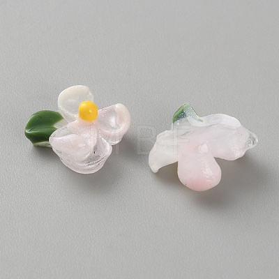 Transparent Resin Cabochons FIND-CJC0437-024H-1