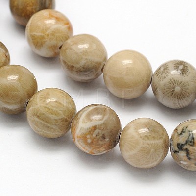 Natural Fossil Coral Round Bead Strands X-G-N0166-05-8mm-1
