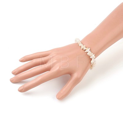 White Shell Chip Beads Stretch Bracelets BJEW-JB03982-01-1