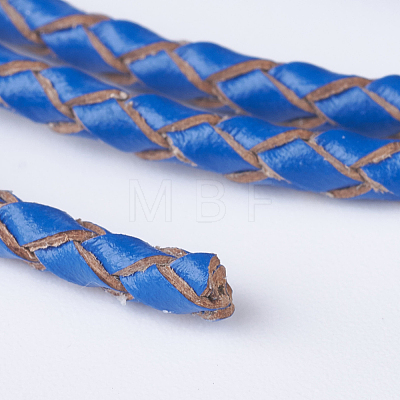 Braided Leather Cords WL-P002-04-A-1