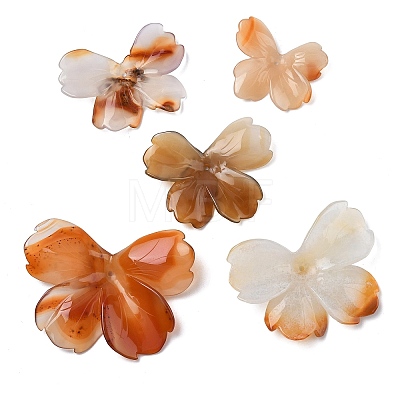 Natural Red Agate Carved Beads G-L650-O01-01-1
