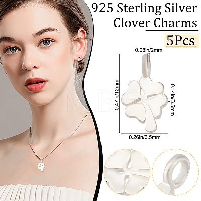5Pcs 925 Sterling Silver Charms STER-BBC0001-21-1