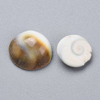 Natural Sea Shell Cabochons SSHEL-K026-03A-1